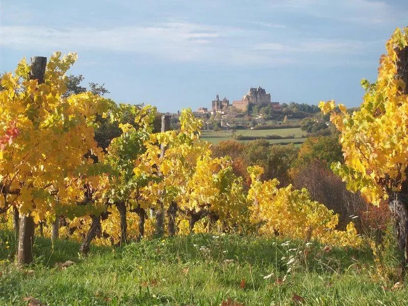 Domaine La Tuque Biron bij Monpazier